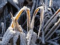 Vinter vass